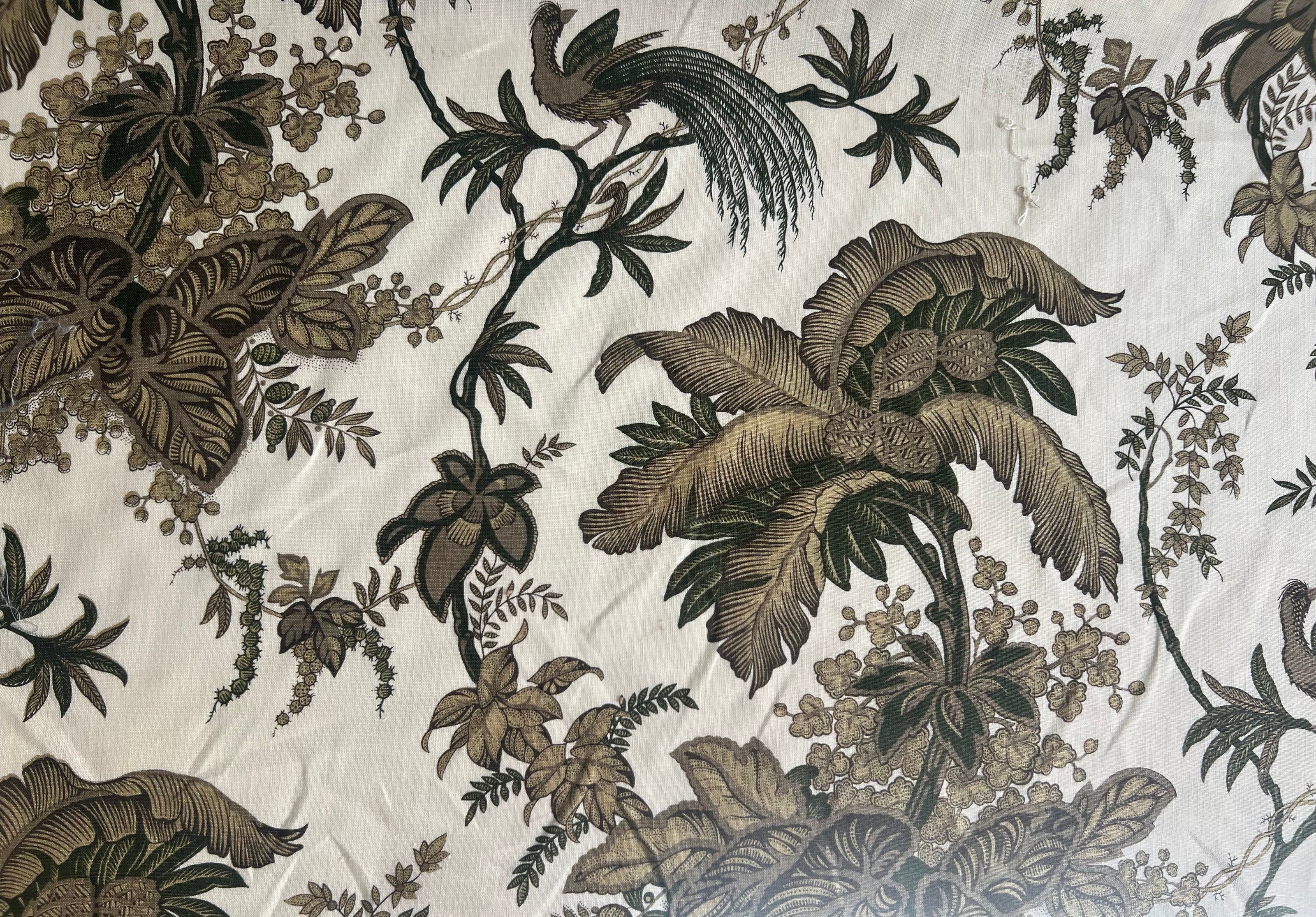 Schumacher · Coconut Grove ·