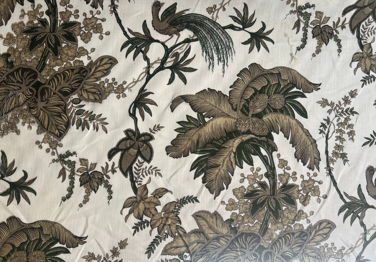 Schumacher - Coconut Grove