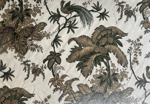 Schumacher · Coconut Grove ·