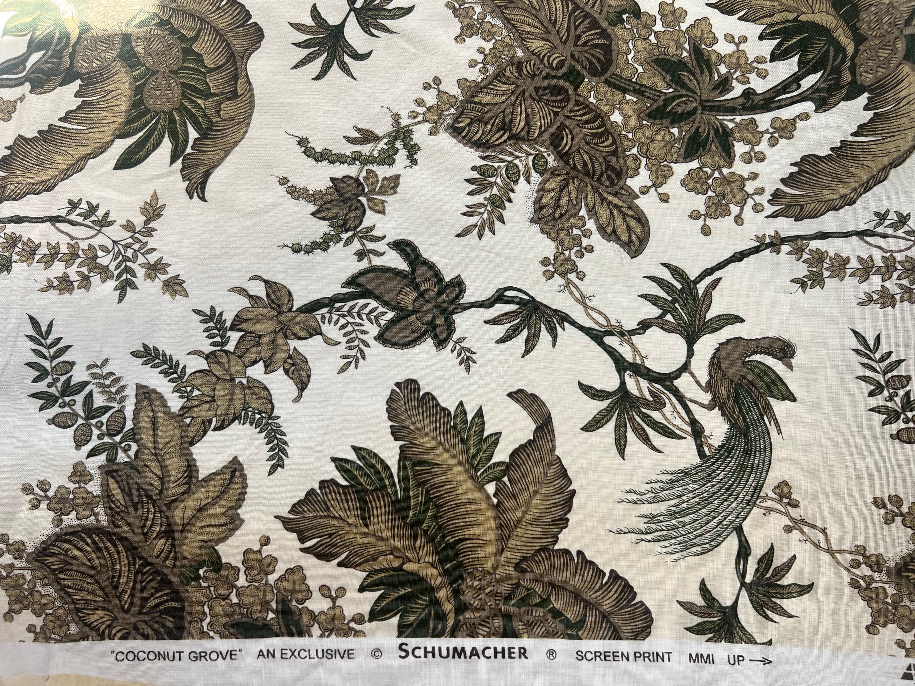 Schumacher · Coconut Grove ·