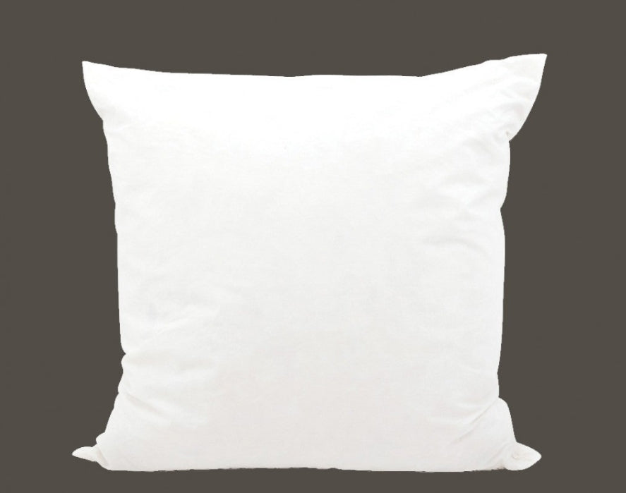 Pillow Insert 26